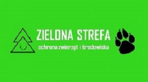 Zielona strefa
