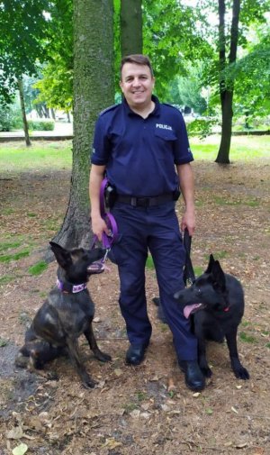 Umundurowany policjant z dwoma psami