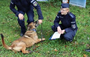 Policyjny pies stojący obok umundurowanego policjanta