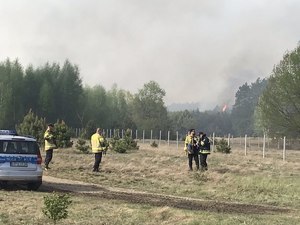 policyjny radiowóz oraz stojące osoby na polanie w oddali palący się ogień