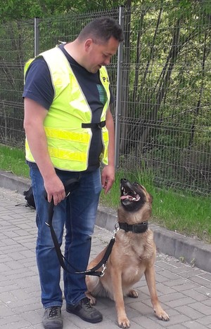 Pies z policjantem