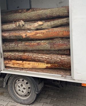 samochód dostawczy, na którym leży drewno