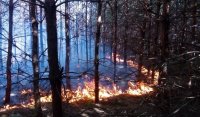 Foto: OSP Starachowice