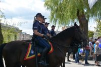 funkcjonariusze Policji na koniach