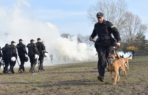 Policyjni przewodnicy z psami oraz konie służbowe