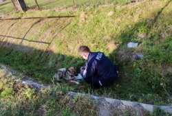 policjant w przydrożnym rowie wraz z psem