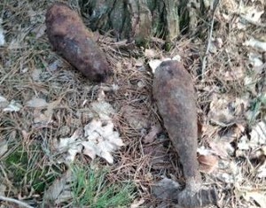 niewybuchy odnalezione w lesie w miejscowości Krzywda