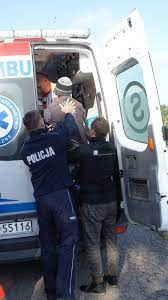 Zdjęcie poglądowe policjant i osoba postronna pomaga wejść seniorowi do karetki pogotowia