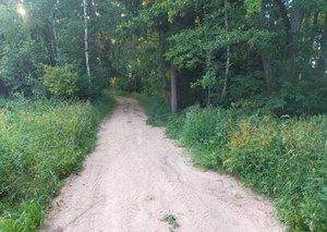 Droga gruntowa przebiegająca przez teren leśny