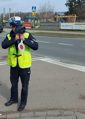 Umundurowany policjant kontroluje prędkość w rejonie przejścia dla pieszych