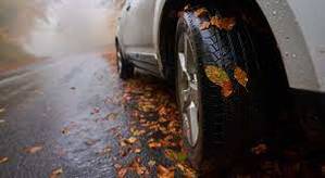 droga pokryta liśćmi, na niej stoi samochód