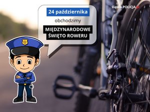Międzynarodowe Święto Roweru