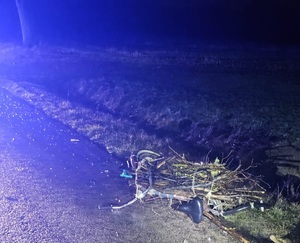 uszkodzony rower leżący na poboczu