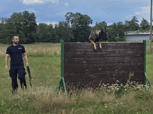 Eliminacje wojewódzkie do XXII Kynologicznych Mistrzostw Policji