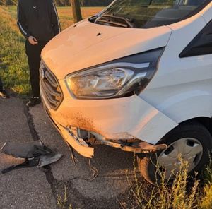 Uszkodzony przód forda po zderzeniu z dzikiem