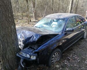 Audi uderzyło w drzewo