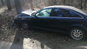 Audi uderzyło w drzewo