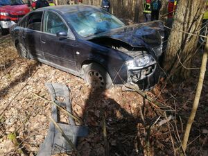 Audi uderzyło w drzewo