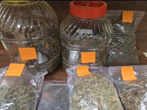 Ostrołęccy policjanci zabezpieczyli kilogram narkotyków