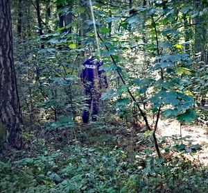 Zdjęcie poglądowe - poszukiwanie osoby