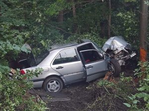 uszkodzony srebrny samochód po zderzeniu z drzewem