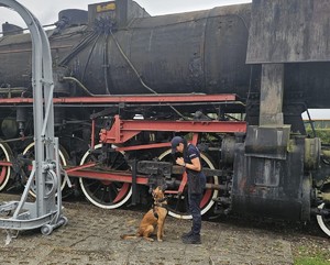 policjantka po prawej stronie naprzeciwko jej pies służbowy, w tle lokomotywa