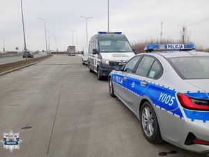 na parkingu po prawej stronie policyjny radiowóz, pojazd inspekcji ruchu Drogowego w w tle dostawczy samochód