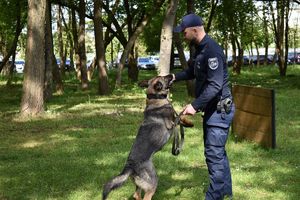policjant i pies słuzbowy