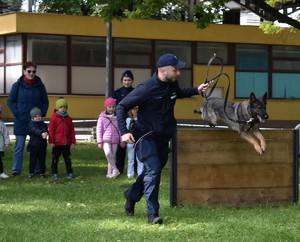 pies pokonuje przeszkode obok biegnie policjant w tle dzieci