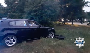 pojazd zaparkowany w krzakach