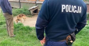Policjanci pomogli uratować psa