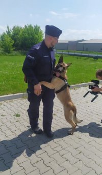 Mazowieckie psy policyjne aktorami w serialu dokumentalnym