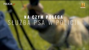Na czym polega służba psa w Policji?