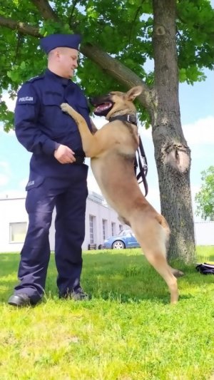 Policyjny pies doprowadził do sprawcy włamania
