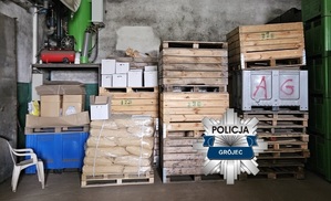 Blisko 11 ton nielegalnych pestycydów nie trafi na rynek