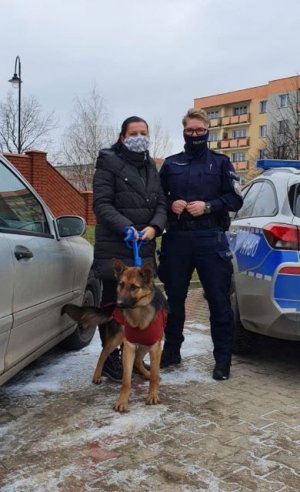 Policjantka przygarnęła psa, którym zaopiekowali się dzielnicowi