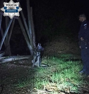 Szczęśliwy finał poszukiwań grzybiarza