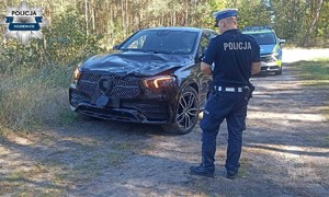 Zdarzenie drogowe  z łosiem
