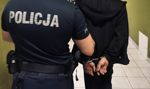 Areszt dla 41-latka z gminy Kozienice za liczne przestępstwa