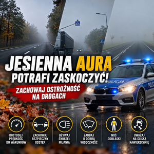 grafika przedstawia zamgloną drogę liście i radiowóz