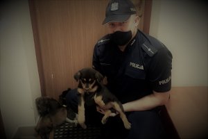 umundurowany policjant trzyma na ręku psa, trzy szczeniaki siedzą na podłodze