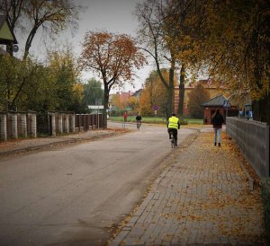 Rowerzysta w kamizelce odblaskowej jedzie ulicą, chodnikiem idzie kobieta, na jezdni leżą kolorowe jesienne liście