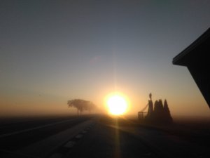 Poranna mgła na drodze w tle wschodzące słońce