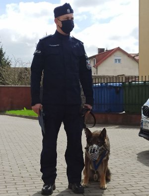 policjant aspirant Marek Laskowski w mundurze ćwiczebnym wraz z odchodzącym na emeryturę owczarkiem niemieckim - policyjnym psem Ivo