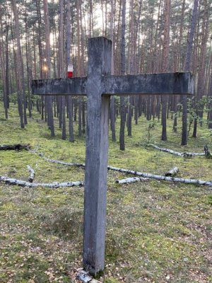 Krzyż w lesie w Palmirach