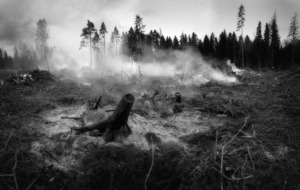 Czarno-białe zdjęcie przedstawiające dym wydobywający się ze ściółki leśnej