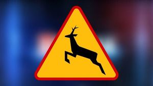 Trójkątny znak drogowy koloru żółtego z jeleniem na środku ostrzegający przed dziki zwierzętami