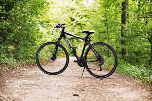 Rower stojący w lesie