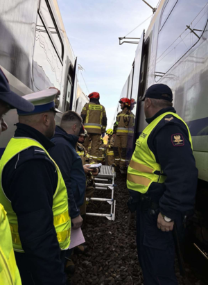 Policja, straż ochrony kolei przy pociagach