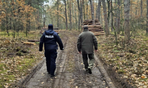 Policjant i strażnik idą leśną drogą